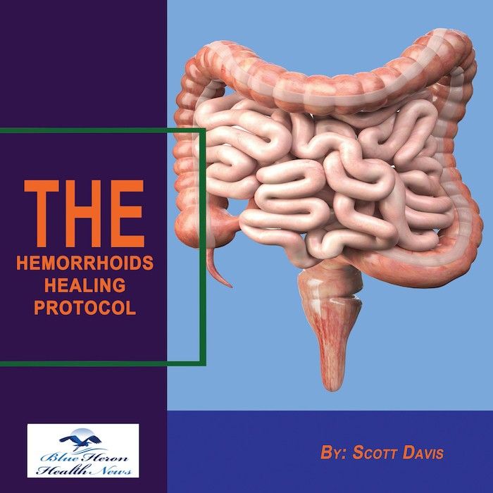 Hemorrhoid No More